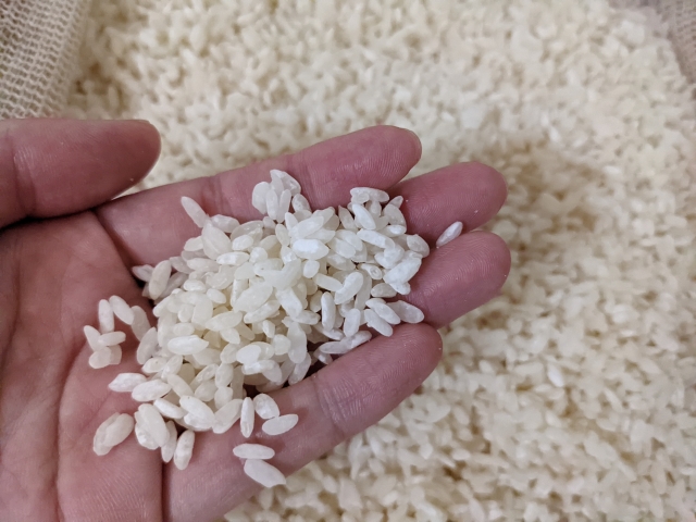 米麹 食べ過ぎ1